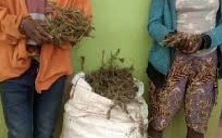 Kanyanga, Urumogi n'ibindi Biyobyabwenge bigira Ingaruka mbi ku hazaza hubyishoyemo, byirinde, unagire uruhare mu kubirwanya