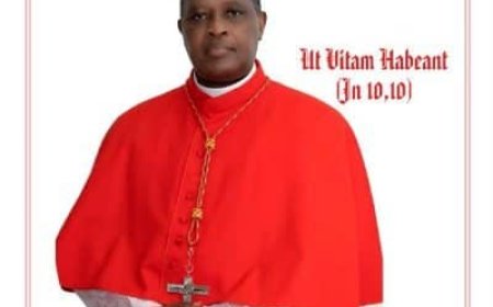 Cardinal Antoine Kambanda ntiyemeranywa n'abamerera abana b'imyaka 15 kuboneza urubyaro