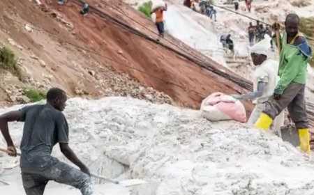 Amerika yashyiriyeho ibihano umutwe  witwaza intwaro n’ibigo by’ubucuruzi byo muri Congo n’Ubushinwa