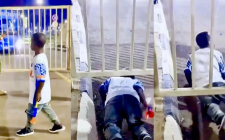 Amashusho ya Nzovu acika abashinzwe umutekano nyuma yo guca munsi y'urugi akomeje Kurikoroza - VIDEWO