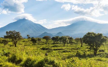 U Rwanda rurasubiza uburemere: Guverinoma yamaganye ibirego bishinja RDF ubwicanyi muri Congo”