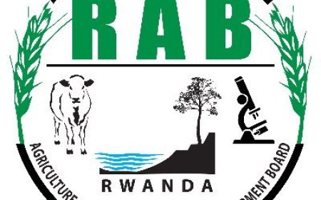 Itangazo rirebana no kurinda abantu kurumwa n’imbwa no kurwanya ibisazi by’imbwa