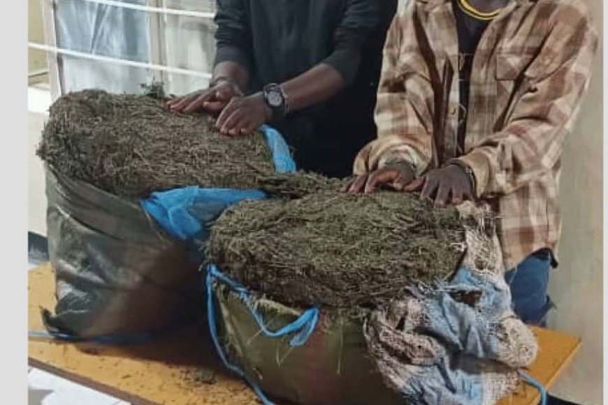 Abagabo2 bafatanywe urumogi barujyanye i Muhanga polisi yabafashe