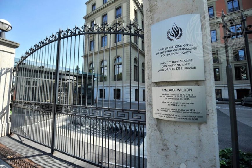 RDF mu majwi ya Loni: U Rwanda ruvuga iki ku byo rushinjwa muri RDC?