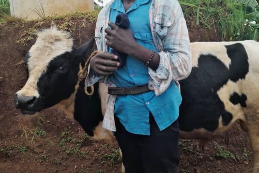 Polisi n’irondo bafashe umugabo ukekwaho kwiba inka