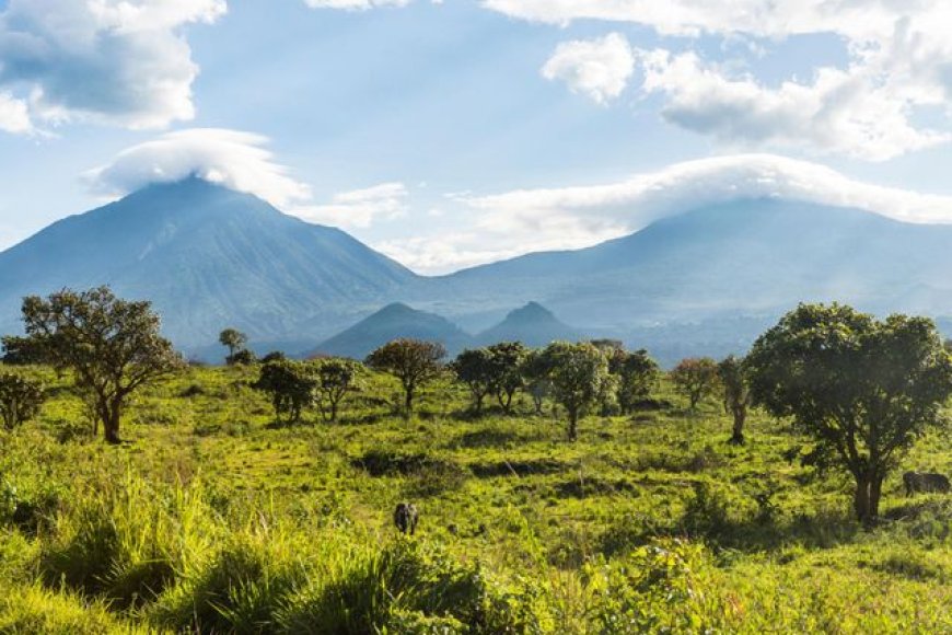 U Rwanda rurasubiza uburemere: Guverinoma yamaganye ibirego bishinja RDF ubwicanyi muri Congo”