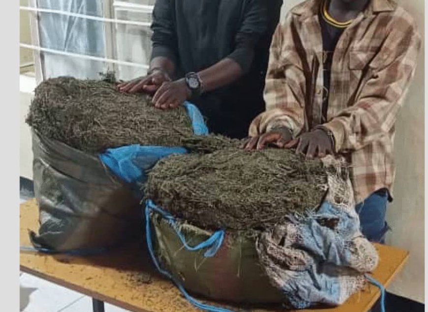 Abagabo2 bafatanywe urumogi barujyanye i Muhanga polisi yabafashe