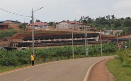 Umusaruro w’icyanya cy’inganda cya Gisagara: Abarenga 400 babonye akazi