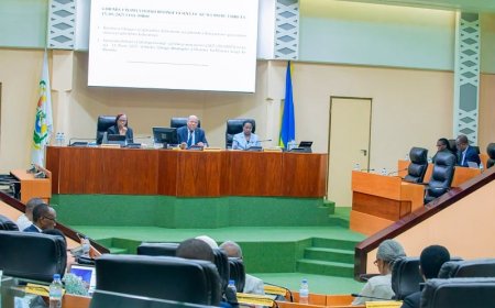 Inteko rusange ya Sena niy’umutwe w’Abadepite barimo gusuzuma ibya raporo y’Inteko ishinga amategeko ya EU