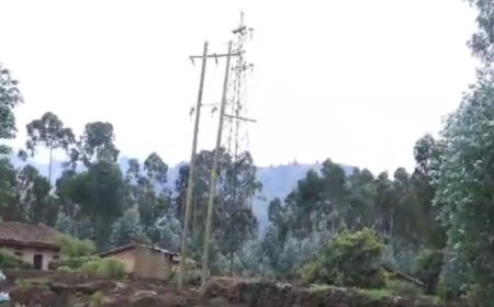 Nyabihu: Bamaze Imyaka 3 Bategereje Ingurane z’Imitungo Yangijwe, Barasaba Igisubizo Kirambye