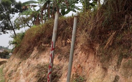 Amajyepfo: Ibyapa byo kumuhanda birikwibwa ku bwinshi