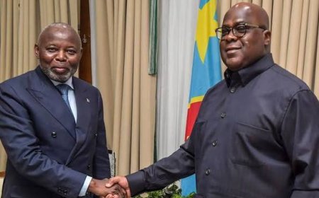 Perezida w’Inteko Ishinga Amategeko ya Repubulika ya Demokarasi ya Congo yahagamwe n’ishyaka rya Tshisekedi