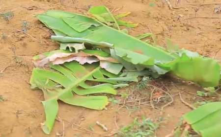 Bugesera: Umugabo yishe umugore we bamaze gutera akabariro yishyikiriza RIB