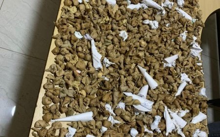 KIGALI: Polisi yafashe abantu batatu bacuruza urumogi