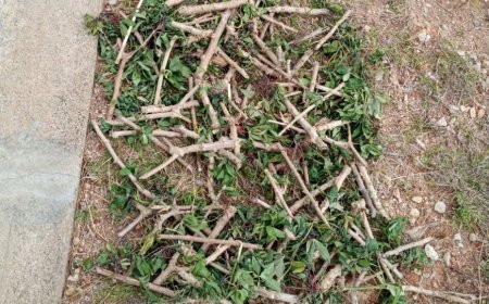 Nyanza: Umukecuru yagiye kurega kuri RIB ko yafotowe n’abantu batabifitiye uburenganzira  ahita afungwa