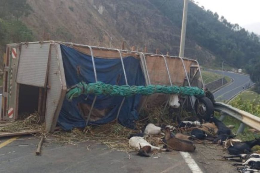 Karongi: Umuntu yapfuye, ihene 30 zihasiga ubuzima mu modoka yari igiye ku isoko