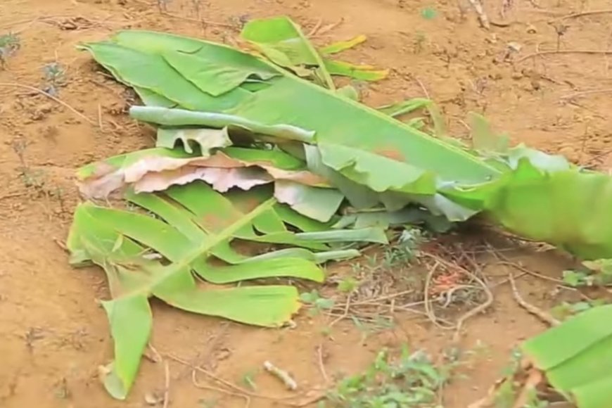 Bugesera: Umugabo yishe umugore we bamaze gutera akabariro yishyikiriza RIB