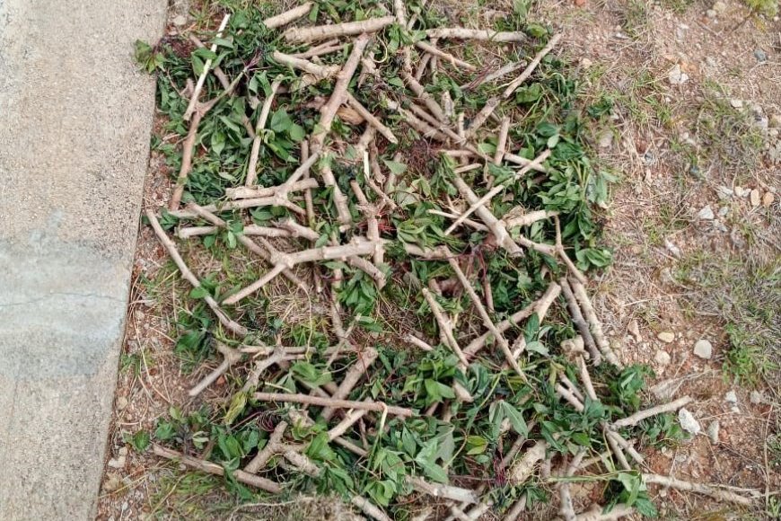 Nyanza: Umukecuru yagiye kurega kuri RIB ko yafotowe n’abantu batabifitiye uburenganzira  ahita afungwa