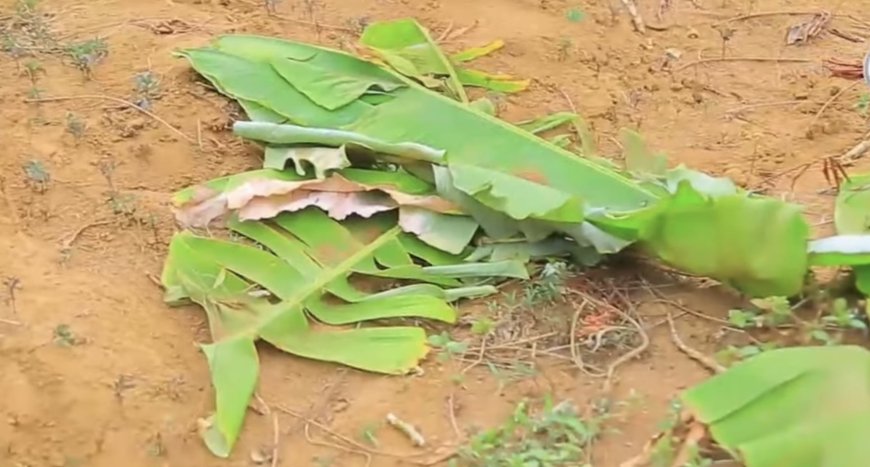 Bugesera: Umugabo yishe umugore we bamaze gutera akabariro yishyikiriza RIB