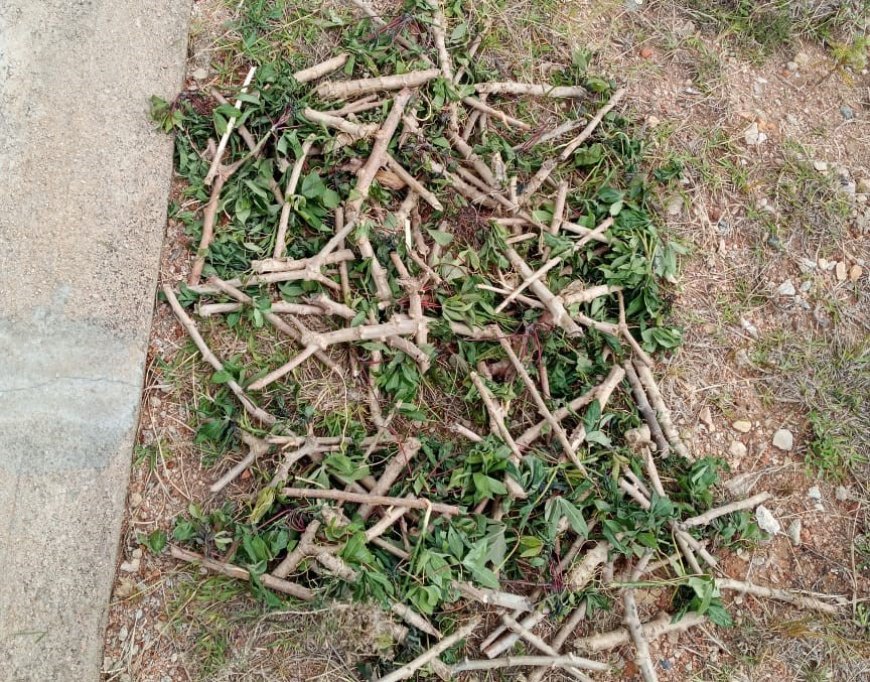 Nyanza: Umukecuru yagiye kurega kuri RIB ko yafotowe n’abantu batabifitiye uburenganzira  ahita afungwa