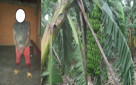 Rubavu: Umusore akurikiranyweho kwica umugore amukubise umutego w’igitoki