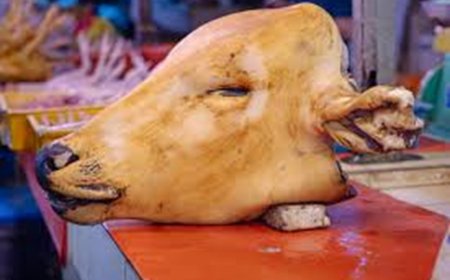 Musanze: umuturage Yafatanywe umutwe w’inka yaraye yibwe avuga ko yawuguze