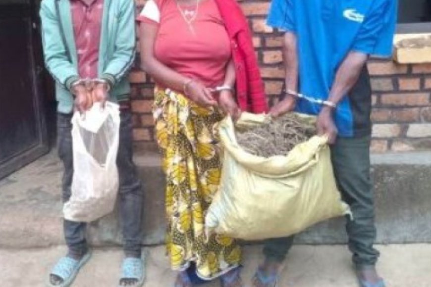 Muhanga: Abantu batatu bafatanywe urumogi