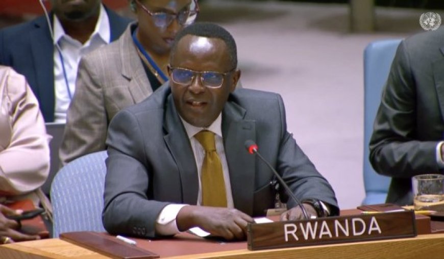 U Rwanda: Gukuraho ingamba z’ubwirinzi ngo byaba ari ukwisubiriramo ikosa rya 1994, kuko FDLR igihari