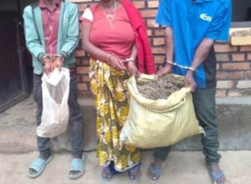 Muhanga: Abantu batatu bafatanywe urumogi