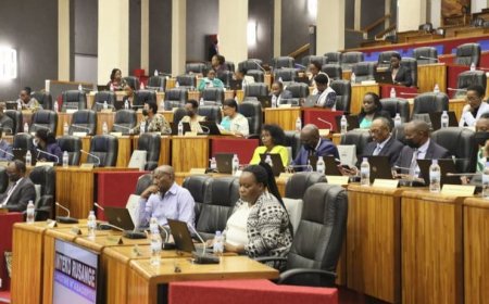 Inteko yasabye RGB kugira icyo ikora ku bibazo biri muri Rayon Sports mu maguru mashya