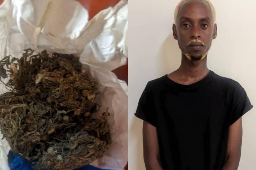 Bill Ruzima uri mu bahanzi bagezweho afunzwe azira urumogi