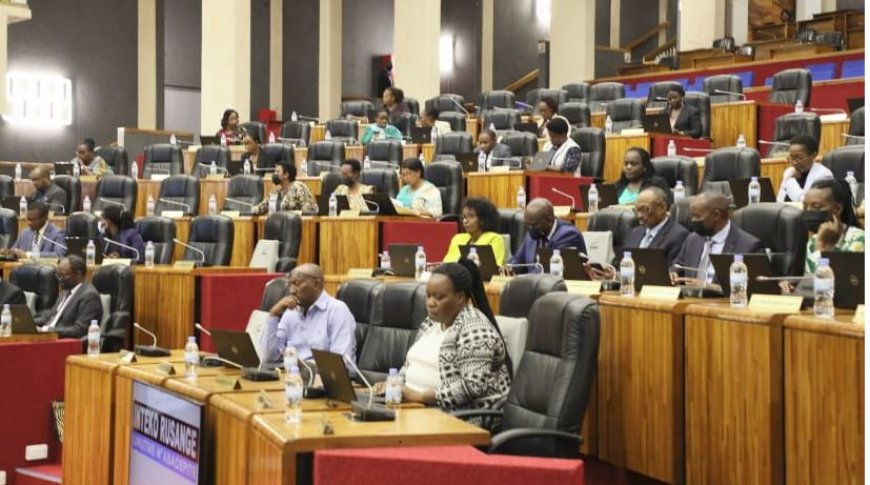 Inteko yasabye RGB kugira icyo ikora ku bibazo biri muri Rayon Sports mu maguru mashya