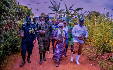 Burera: Hatewe ibiti bisaga 10000 by’imbuto ziribwa