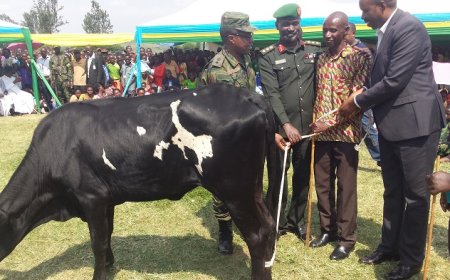 Amakuru yaranze umwaka wa 2025 ku buzima n’imibereho.