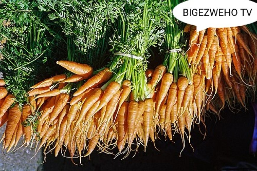 Abacuruzi n’abahinzi b’imboga n’imbuto bifuza impinduka mu micururize ya Karoti