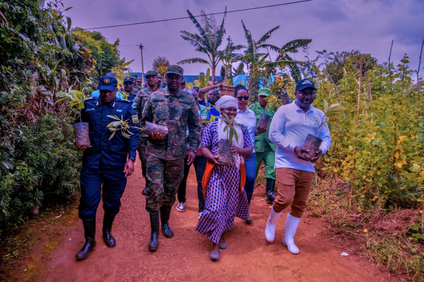 Burera: Hatewe ibiti bisaga 10000 by’imbuto ziribwa