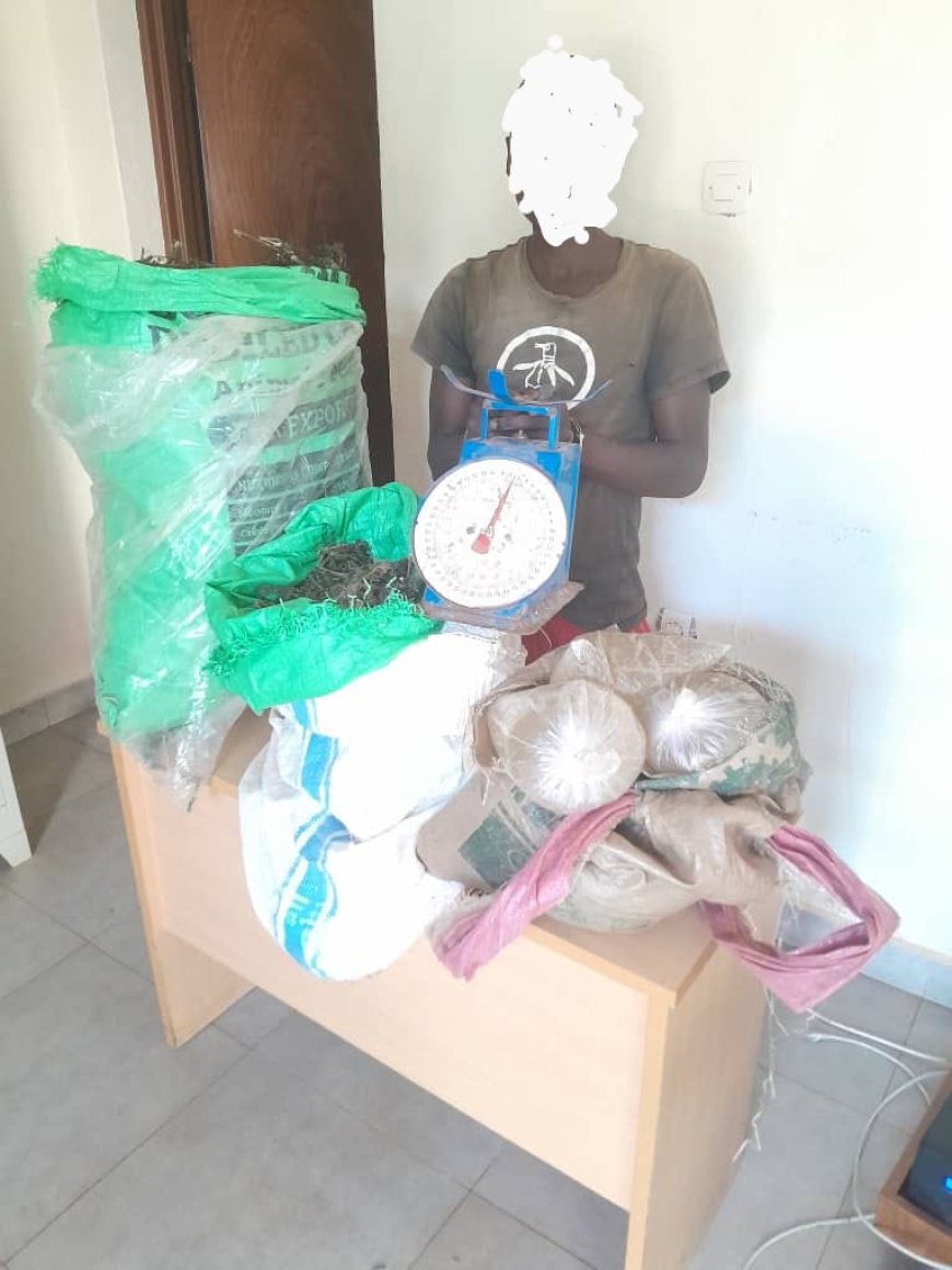 Gakenke: Yafatanywe ibiro 17 by’urumogi na litiro 14 za kanyanga yakwirakwizaga mu baturage