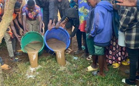 Gicumbi: Bane bafatiwe mu bikorwa byo gukora no gucuruza magwingi