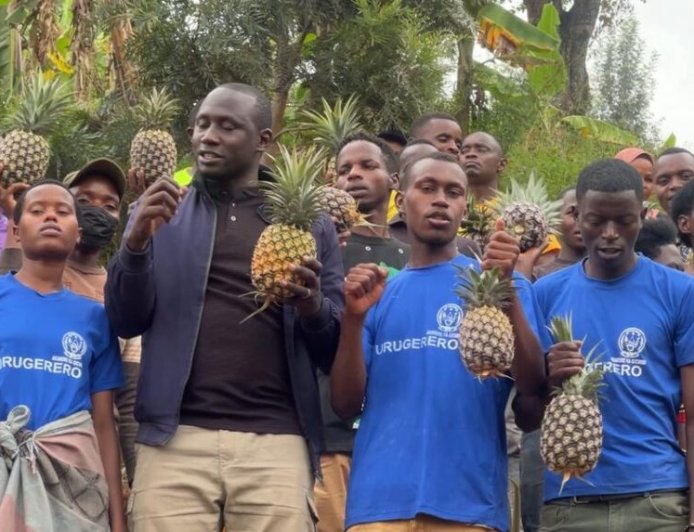 Gicumbi: Urubyiruko rwitabiriye ubuhinzi bw’inanasi zihanganira imihindagurikire y’ibihe