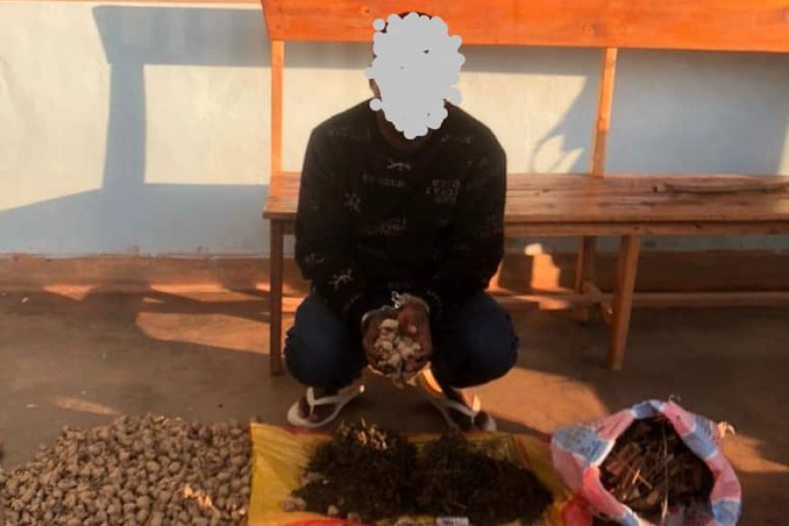 Rulindo: Polisi yafatanye umuturage udupfunyika 689 n'ikilo cy'urumogi