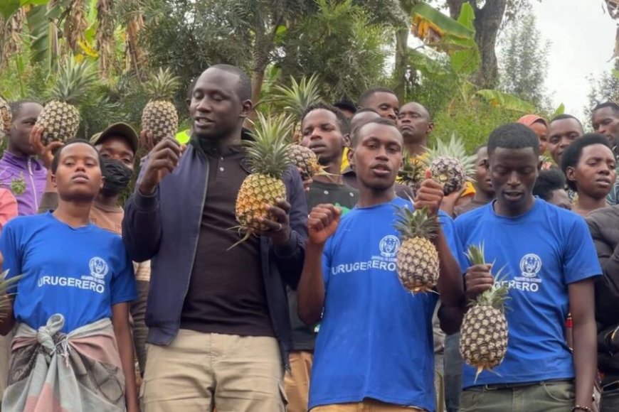 Gicumbi: Urubyiruko rwitabiriye ubuhinzi bw’inanasi zihanganira imihindagurikire y’ibihe