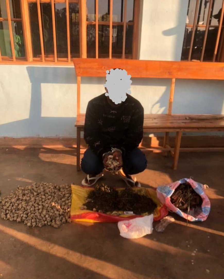 Rulindo: Polisi yafatanye umuturage udupfunyika 689 n'ikilo cy'urumogi