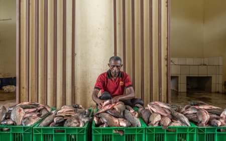 Ubworozi bw’Amafi mu baturage bwabaye Inzira irambye yo kubungabunga pariki y’Akagera