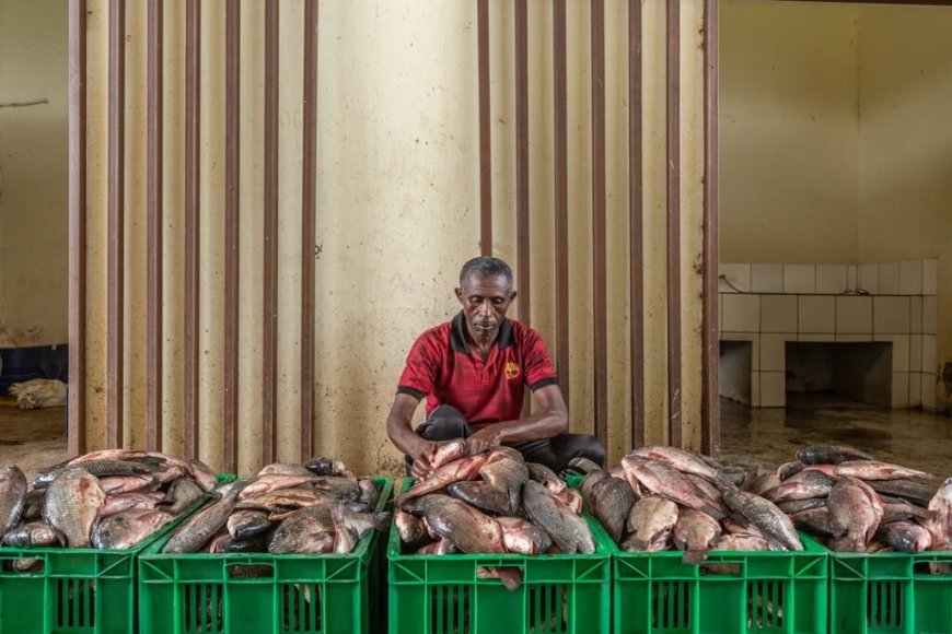 Ubworozi bw’Amafi mu baturage bwabaye Inzira irambye yo kubungabunga pariki y’Akagera