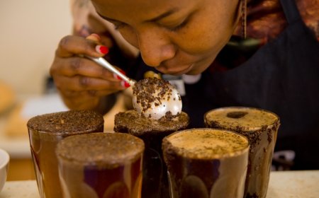 Ikawa y’u Rwanda ikomeje guca impaka mu ikawa nziza ku Isi