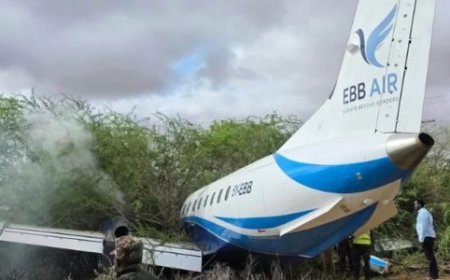 Kenya: Indege yari itwaye abagenzi 36 yarenze umuhanda igwa mu bihuru