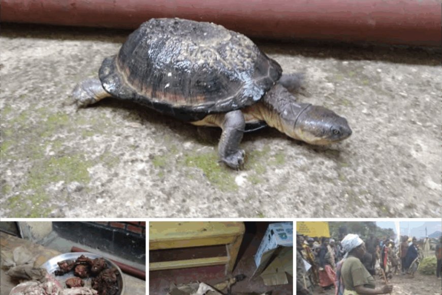 Uko amategeko y’u Rwanda ahana icyaha cyo kuroga n’ingaruka zacyo mu mategeko mpanabyaha