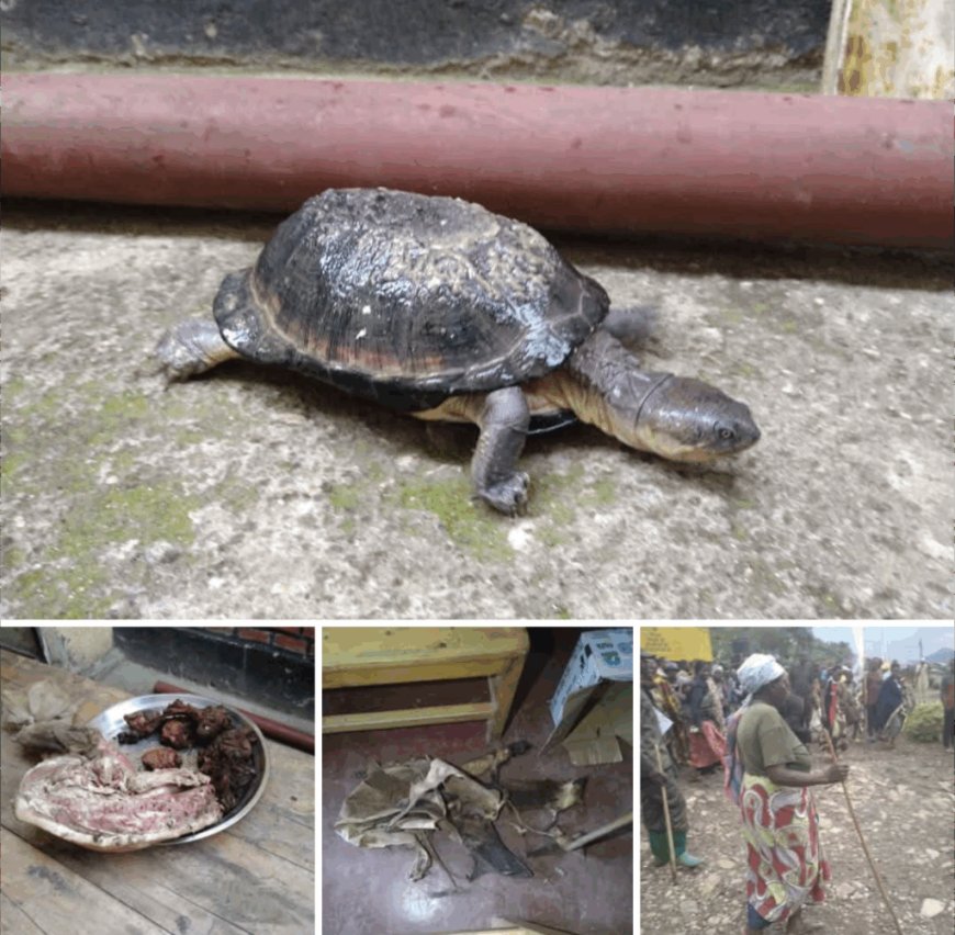 Uko amategeko y’u Rwanda ahana icyaha cyo kuroga n’ingaruka zacyo mu mategeko mpanabyaha