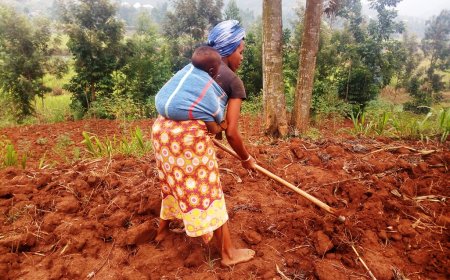 Nyamasheke: Umugore wari uri gutabira ibijumba yabonye umubiri bikekwa ko ari uw’uwazize Jenoside yakorewe Abatutsi