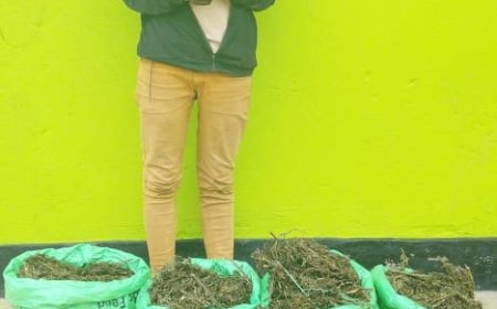 Burera: Umusore Yafatanywe ibiro 20 by’urumogi, agiye kurukwirakwiza mu baturage